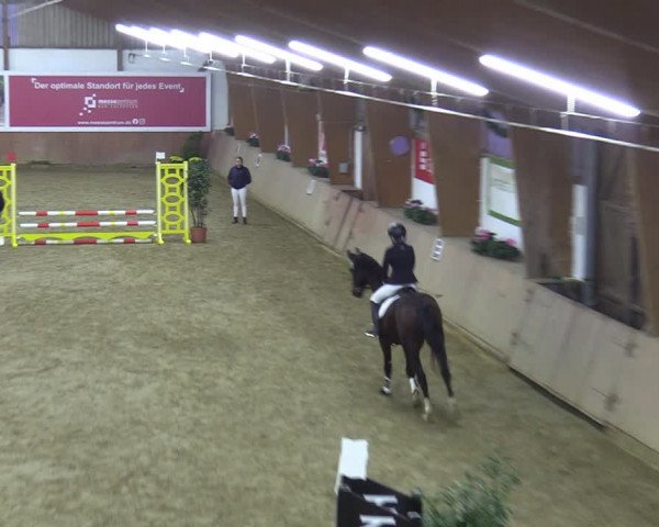 Reitturnier Bad Salzuflen 2023