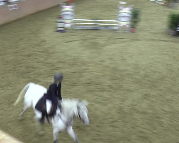 Reitturnier Bad Salzuflen 2023
