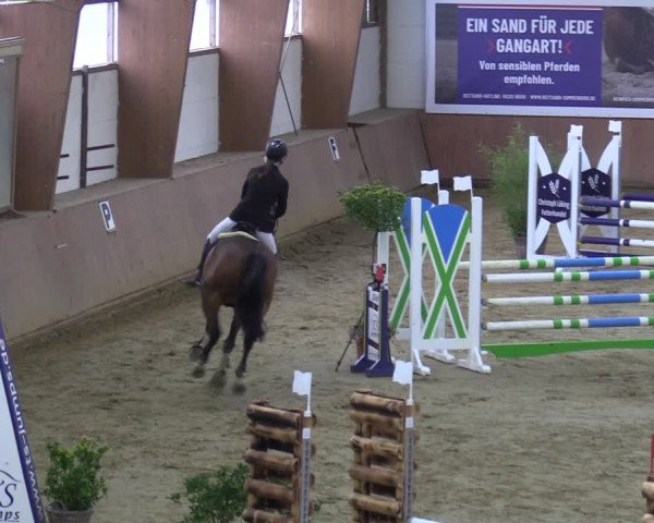 Reitturnier Bad Salzuflen 2023