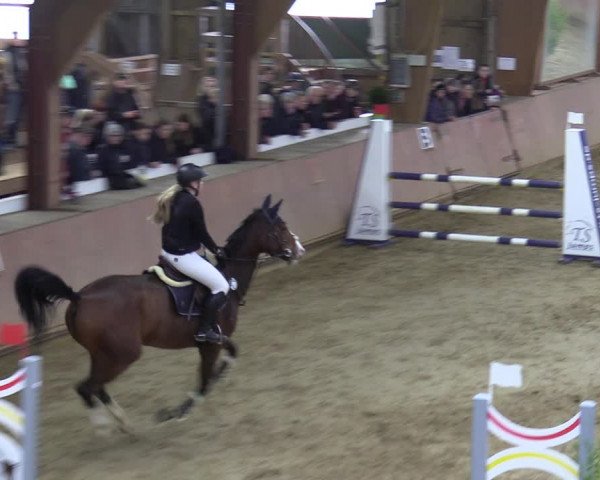 Reitturnier Bad Salzuflen 2023