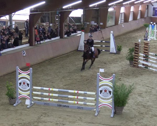 Reitturnier Bad Salzuflen 2023