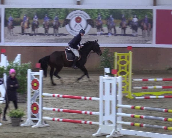Reitturnier Bad Salzuflen 2023