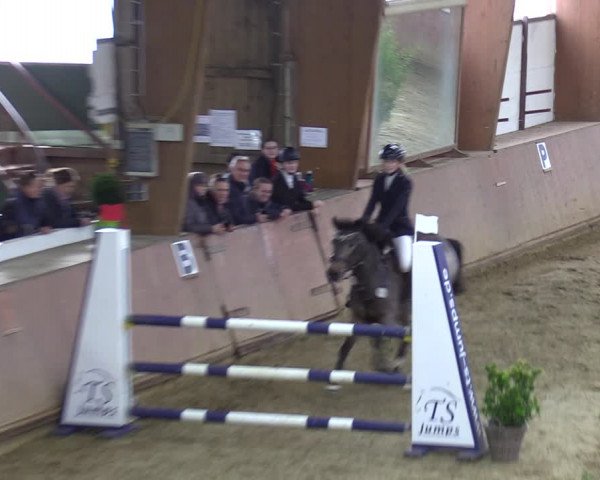 Reitturnier Bad Salzuflen 2023