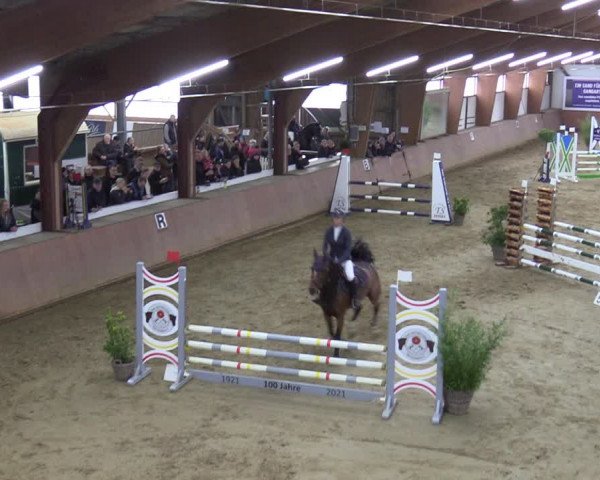 Reitturnier Bad Salzuflen 2023