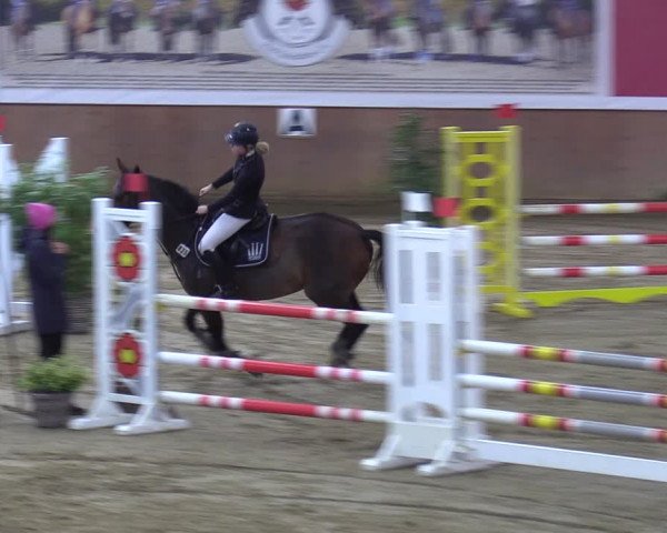 Reitturnier Bad Salzuflen 2023