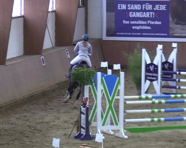 Reitturnier Bad Salzuflen 2023
