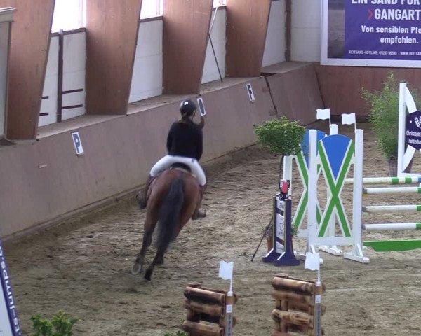 Reitturnier Bad Salzuflen 2023