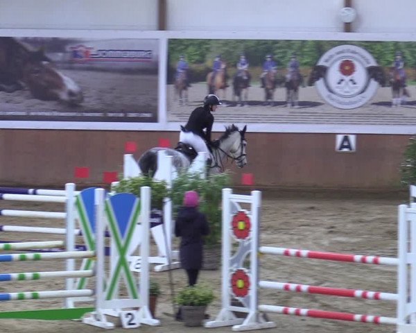 Reitturnier Bad Salzuflen 2023