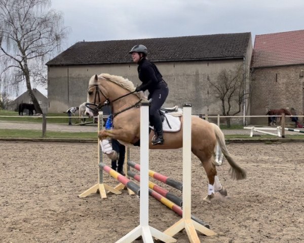 Frederike Willing
