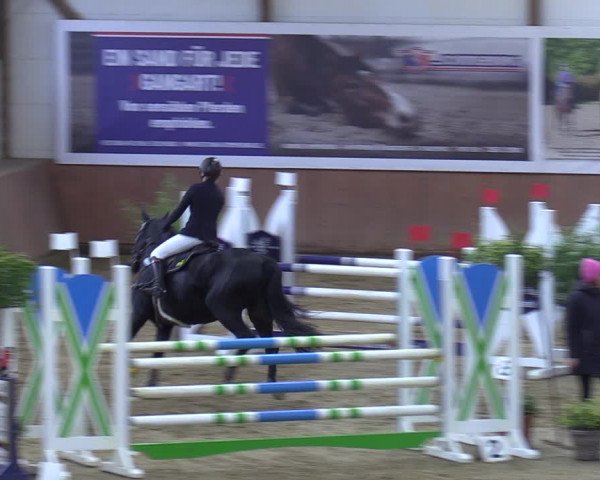 Reitturnier Bad Salzuflen 2023