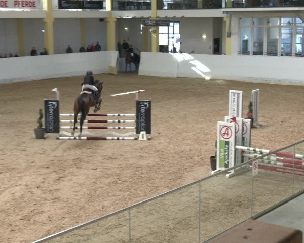 Springturnier Stadl Paura 2023