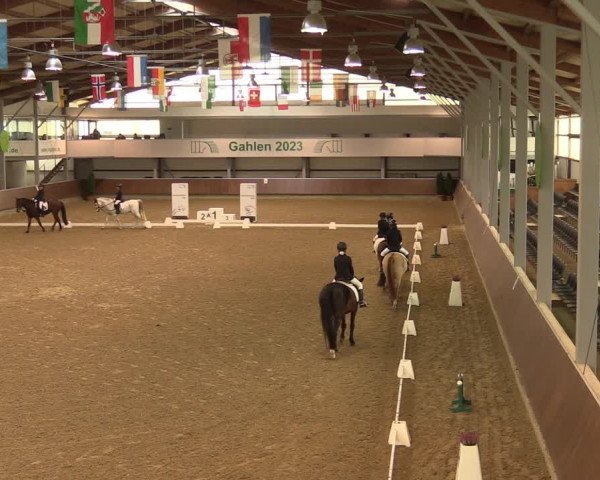 Reitturnier Gahlen 2023