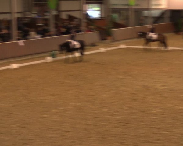Reitturnier Gahlen 2023
