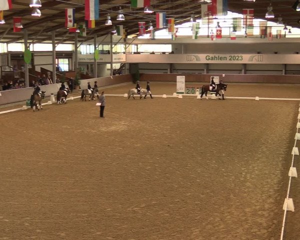 Reitturnier Gahlen 2023