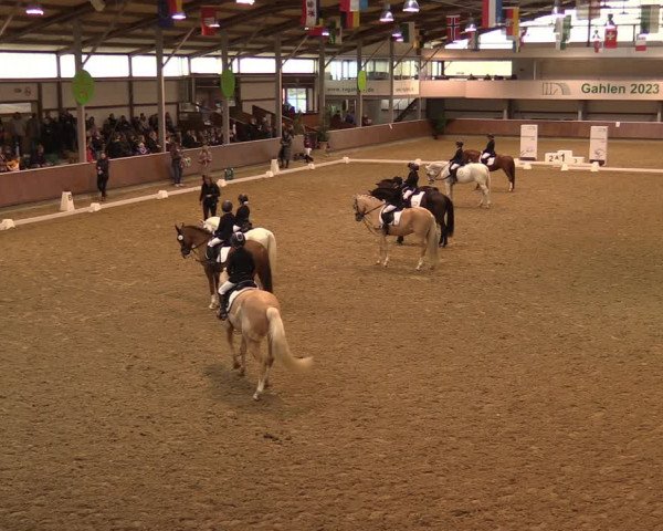 Reitturnier Gahlen 2023