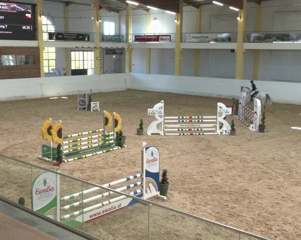 Springturnier Stadl Paura 2023