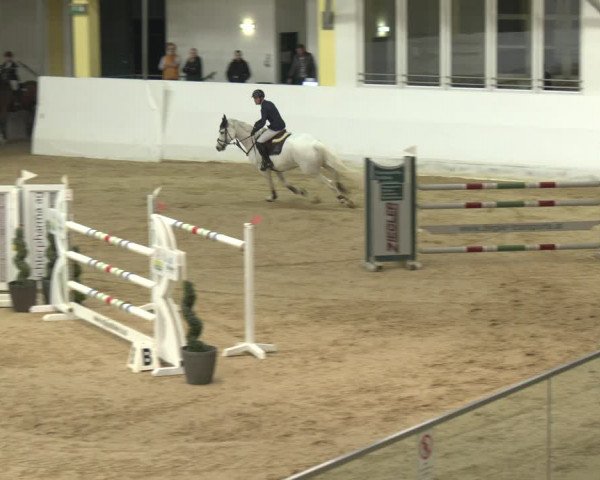 Springturnier Stadl Paura 2023