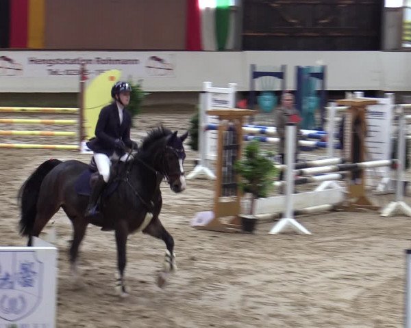 Reitturnier Marl, Reithalle Rohmann 2023