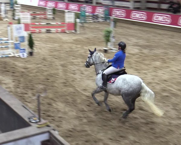 Reitturnier Marl, Reithalle Rohmann 2023