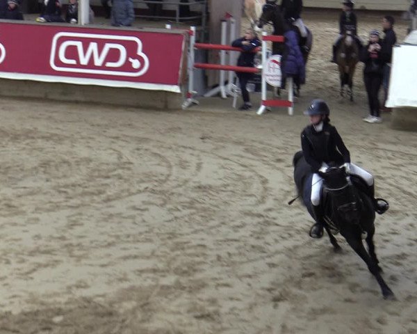 Reitturnier Marl, Reithalle Rohmann 2023