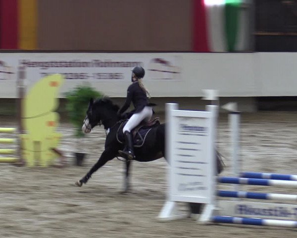 Reitturnier Marl, Reithalle Rohmann 2023