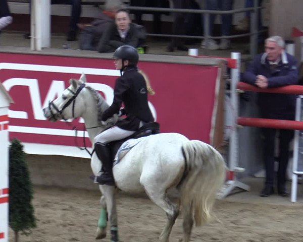 Reitturnier Marl, Reithalle Rohmann 2023