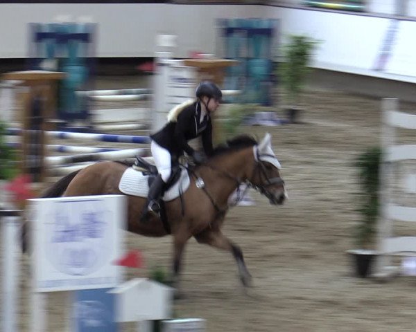 Reitturnier Marl, Reithalle Rohmann 2023