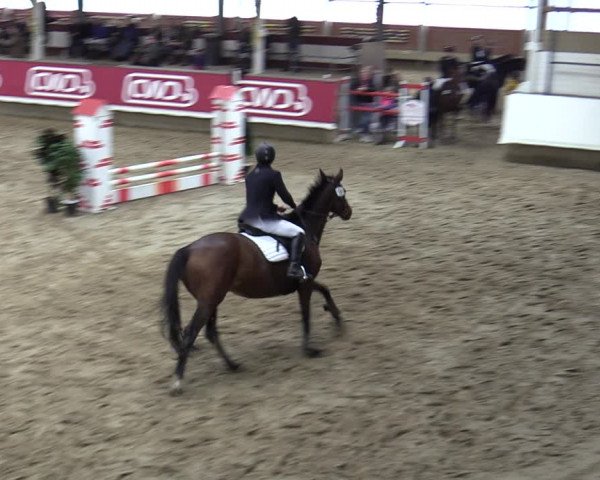 Reitturnier Marl, Reithalle Rohmann 2023