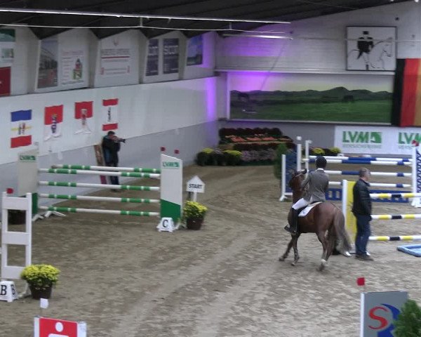 Reitturnier Legden | Ponyturnier 2023