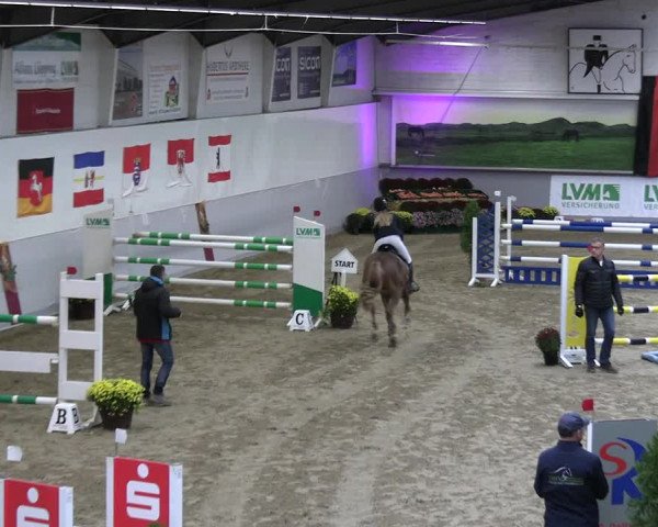 Reitturnier Legden | Ponyturnier 2023
