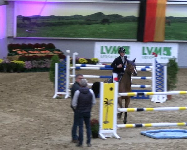 Reitturnier Legden | Ponyturnier 2023