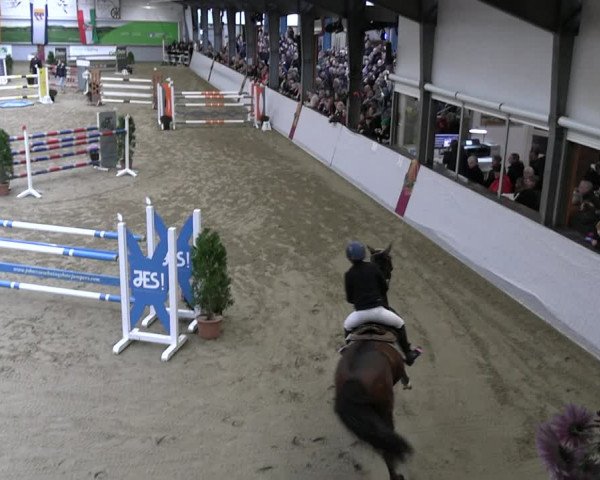 Reitturnier Legden | Ponyturnier 2023