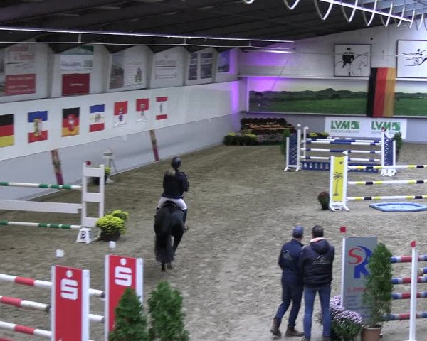 Reitturnier Legden | Ponyturnier 2023