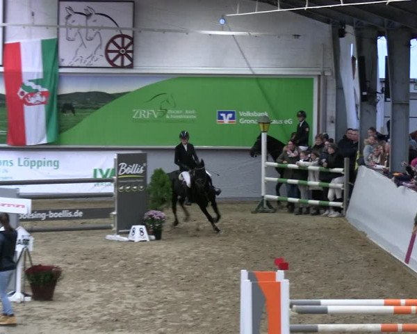 Reitturnier Legden | Ponyturnier 2023