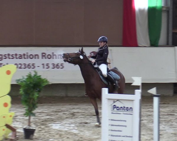 Reitturnier Marl, Reithalle Rohmann 2023
