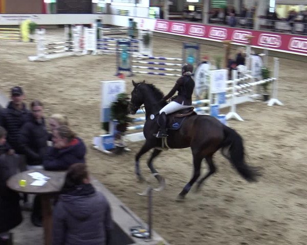 Reitturnier Marl, Reithalle Rohmann 2023
