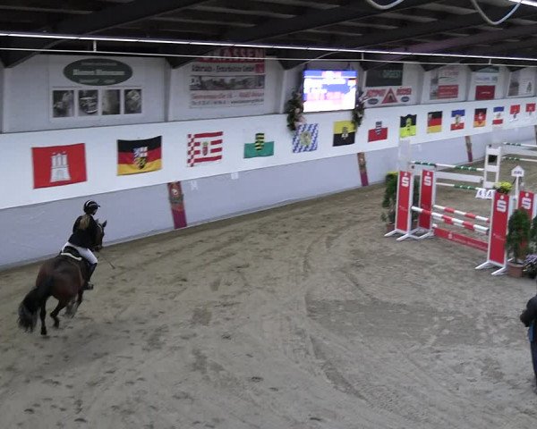 Reitturnier Legden | Ponyturnier 2023