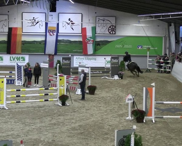Reitturnier Legden | Ponyturnier 2023