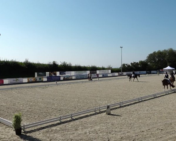 Reitturnier Leichlingen-Witzhelden 2021