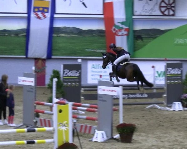 Reitturnier Legden | Ponyturnier 2023