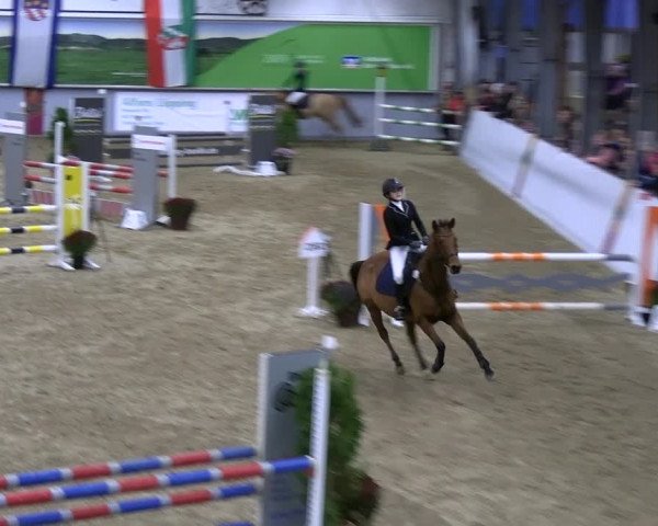Reitturnier Legden | Ponyturnier 2023