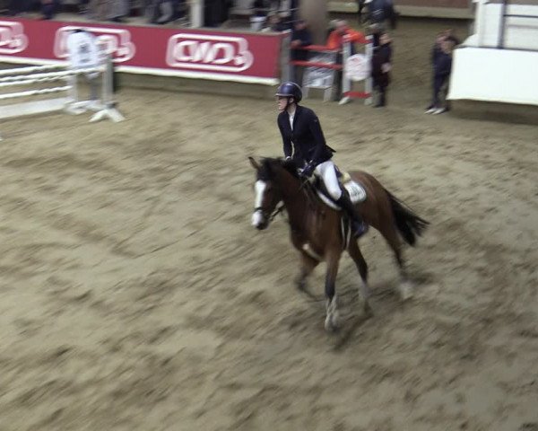 Reitturnier Marl, Reithalle Rohmann 2023