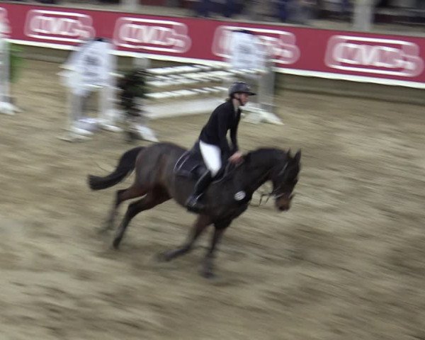 Reitturnier Marl, Reithalle Rohmann 2023