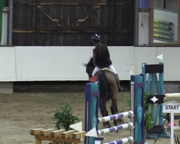 Reitturnier Marl, Reithalle Rohmann 2023