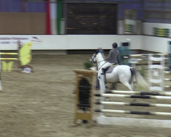 Reitturnier Marl, Reithalle Rohmann 2023