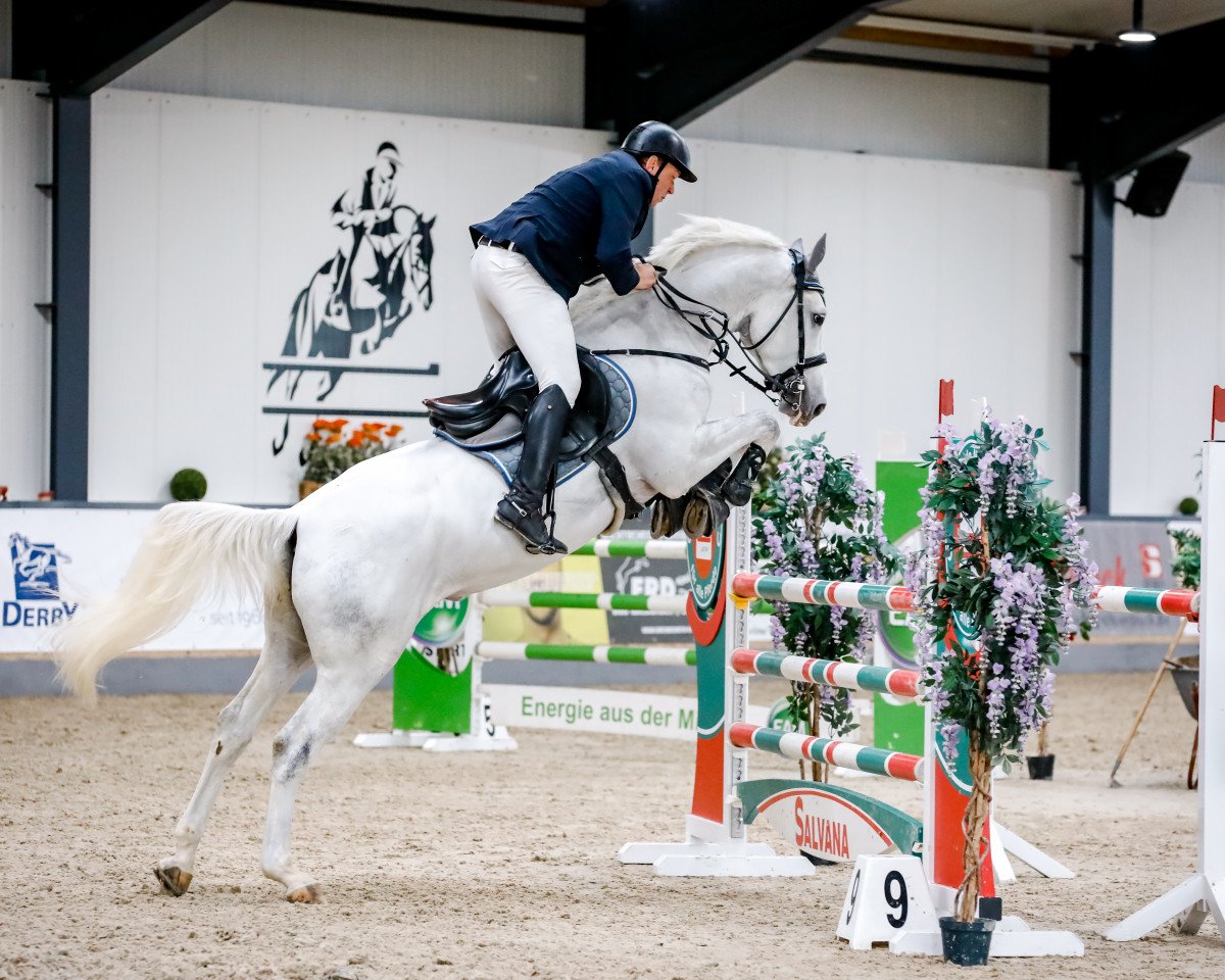 Springpferd Halli Hallo 4 (Holsteiner, 2017, von Cornet Obolensky)