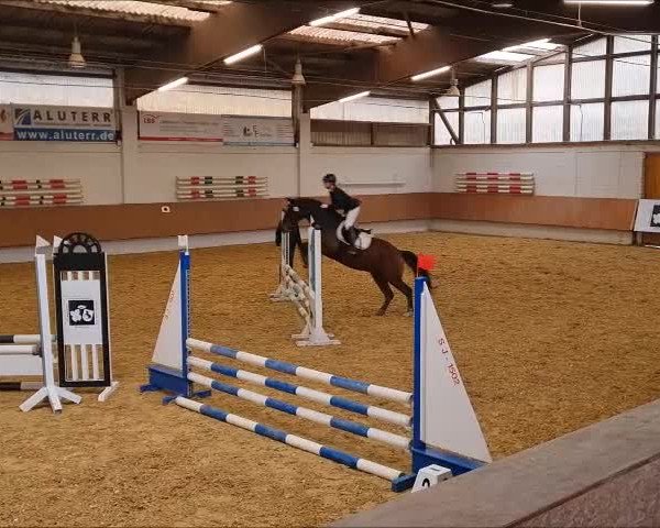 Video of Fidelio-E