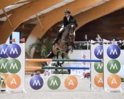 jumper Fiero W (KWPN (Royal Dutch Sporthorse), 2010, from Numero Uno)
