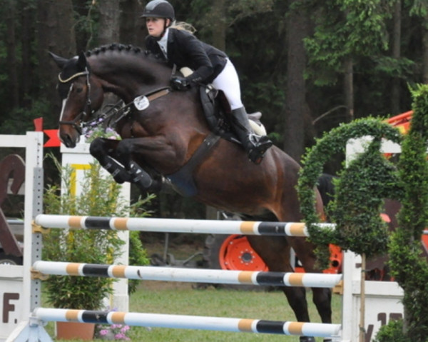 jumper Deichhof's Ghost (Hanoverian, 2012, from Graf Top) jumper Deichhof's Ghost (Hanoverian, 2012, from Graf Top)