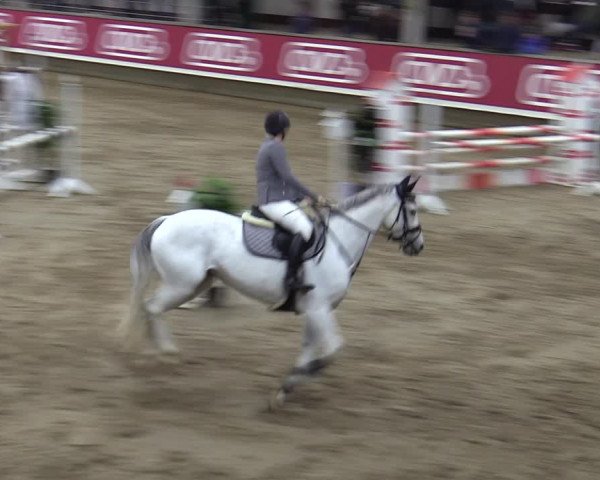 Reitturnier Marl, Reithalle Rohmann 2023